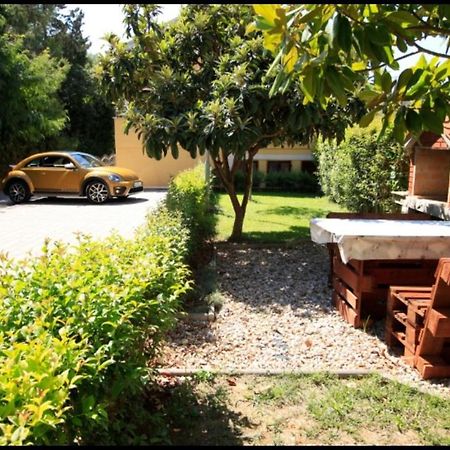 Wishing Well Apartment Zadar Bagian luar foto